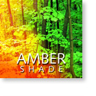 Aroma: Amber Shade