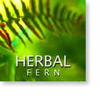 Aroma: Herbal Fern